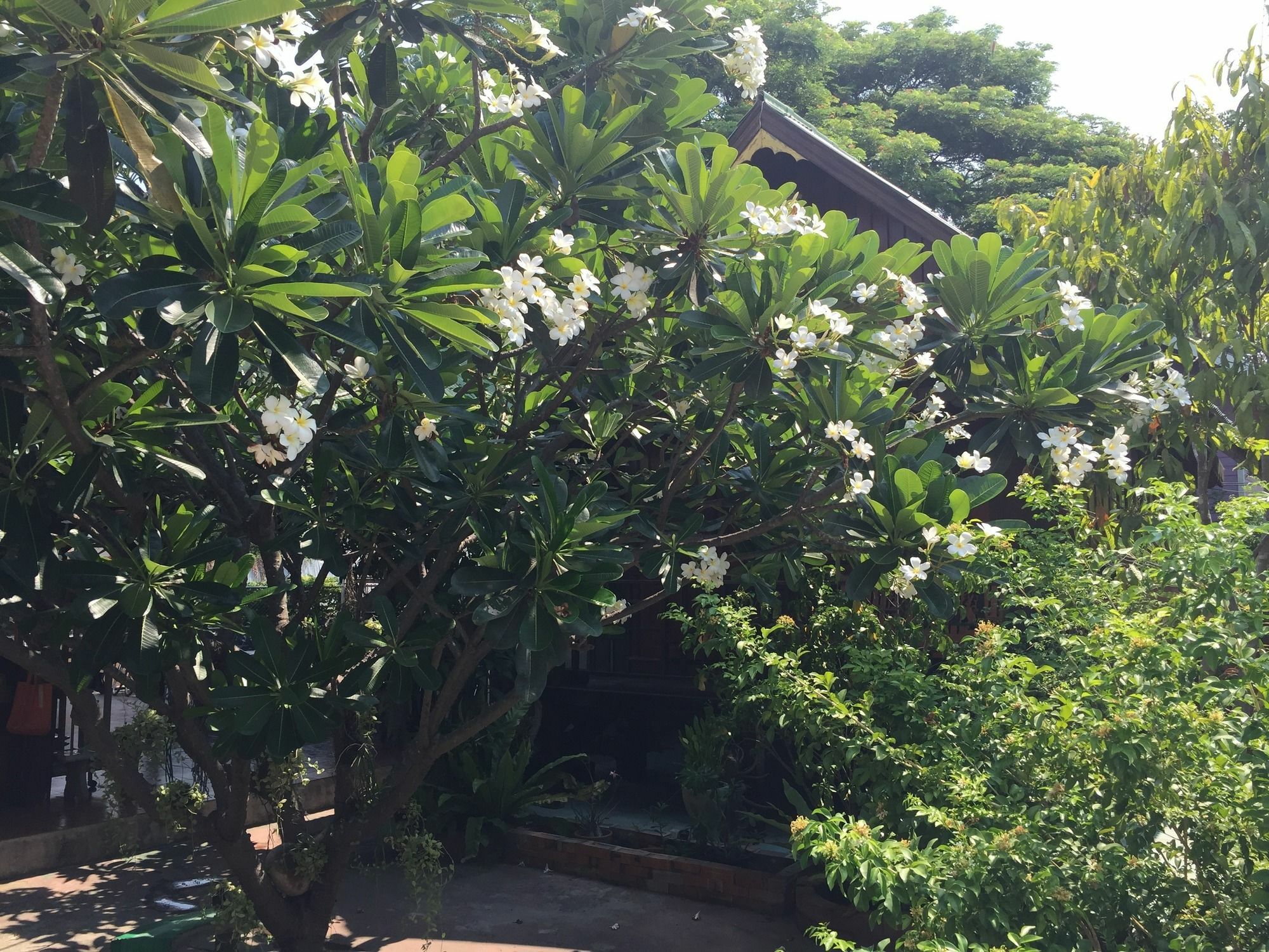Baan Kong Homestay Phra Nakhon Si Ayutthaya Ngoại thất bức ảnh